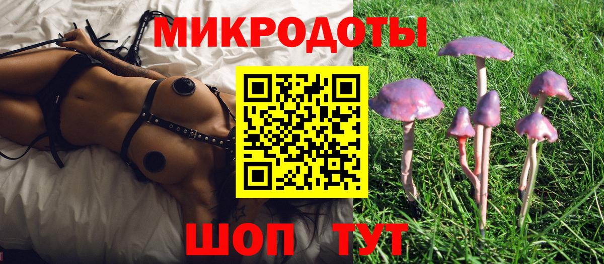 Галлюциногенные грибы Magic Shrooms Железноводск