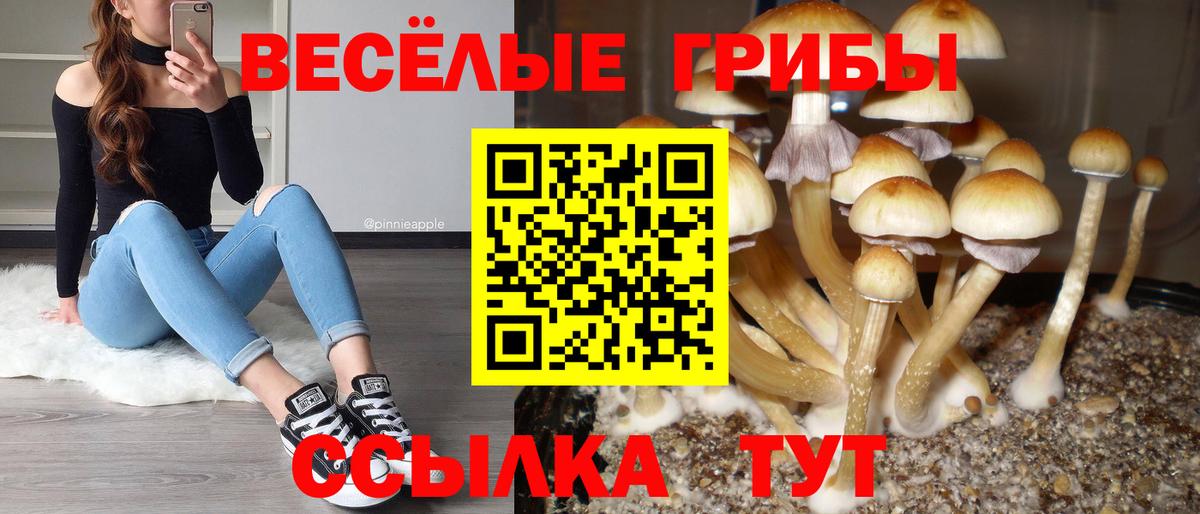 Железноводск  Псилоцибиновые грибы ЛСД  Вход с VPN 